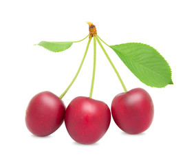 Cherry isolated