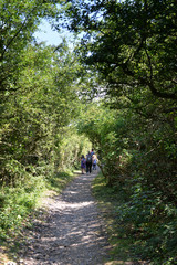 promenade &agrave; l'ombre