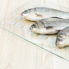 Fish on glass board.
