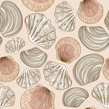Seamless pattern of seashells