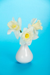 Bouquet of gentle, spring, white narcissuses