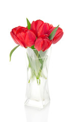 Beautiful red tulips in a vase