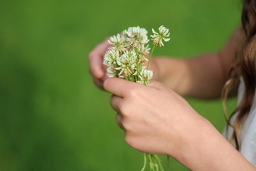 Fototapeta na wymiar Bouquet of clover in girls hands