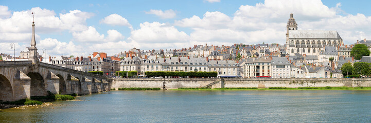 Fototapeta na wymiar Blois Cityscape Panorama France