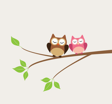 vector cute owls