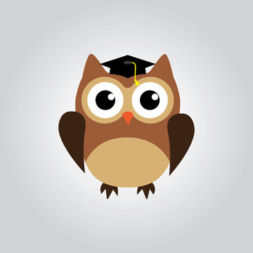 vector owl graduate