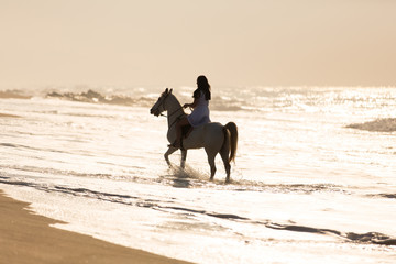 young woman horse ride in the water