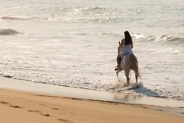 young lady horse ride on beach