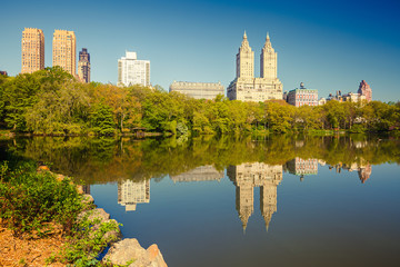 Fototapeta na wymiar Central park at sunny day