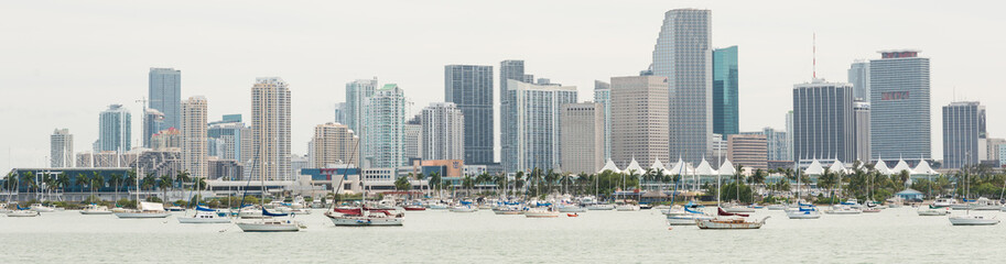 Naklejka premium Panoramic view of downtown Miami