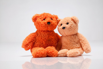 teddy bear on a white background