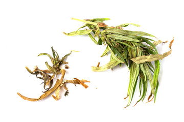 Fototapeta premium cannabis leaf