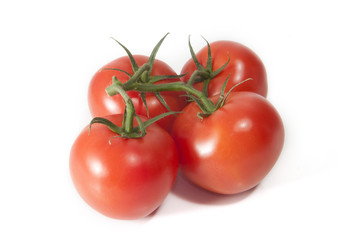 Fresh Tomatoes