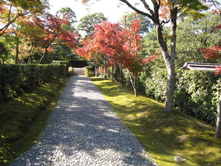 京都の風景