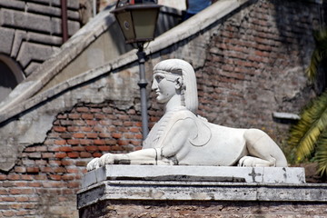 Sphinx de profil
