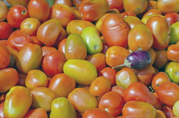 tomato vegetable background