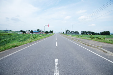 まっすぐ続く一本道