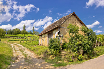 Fototapeta na wymiar Vineyards and mud made cottage