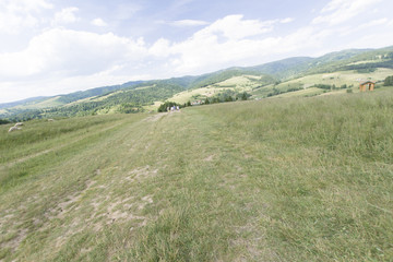 Na zboczu góry Homole, Pieniny, Polska