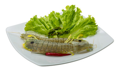 Raw Spiny lobster