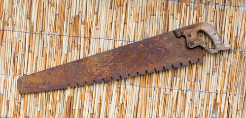 Very old rusted saw