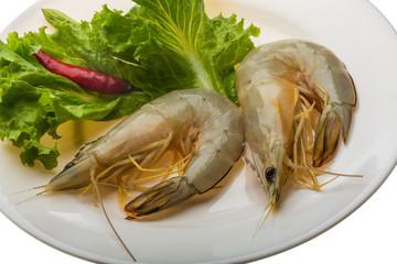Tiger prawn