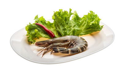 Tiger prawn