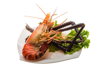 Giant Freshwater Prawn