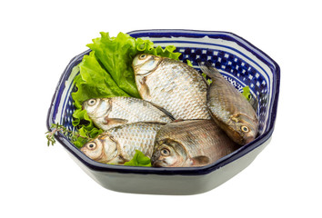 Crucian fish