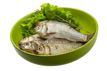 Crucian fish