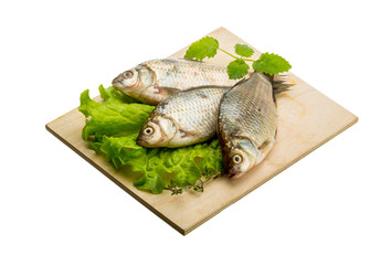 Crucian fish