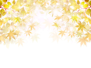もみじ　紅葉　背景
