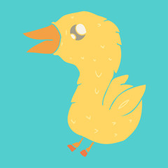 bird (duckling) vector illustration, hand drawn
