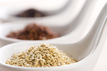 Quinoa grain