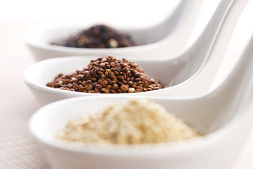Quinoa grain