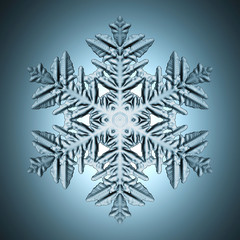 Single perfect snowflake.