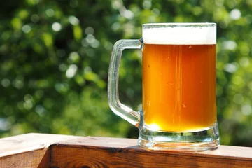 Gartenposter cold beer mug in sunny summer day © ronstik