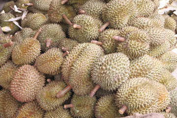 Naklejka na ściany i meble Fresh durian fruit.