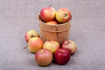 Apples in a barrel