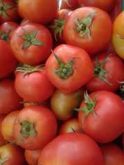 Vegetales tomates