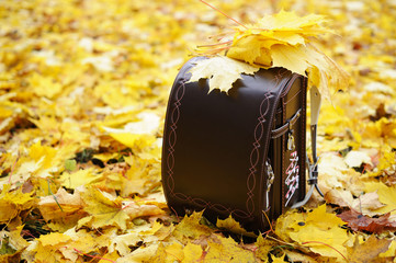 Stylish brown school bag on the yellow leaves 