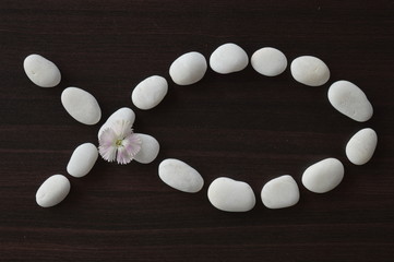 Obraz premium Fish symbol