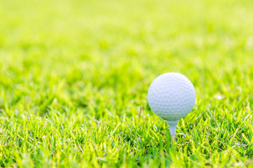 Golf ball on green grass