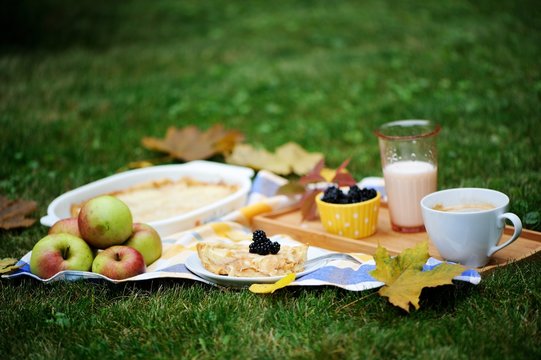 	Fall picnic with homemade apple pie