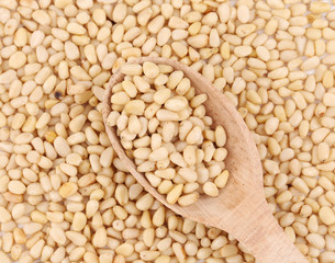 Pine nuts closeup and wooden spoon.