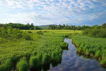 Fototapeta na wymiar Meandering stream in rural Maine