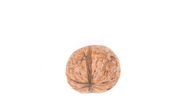 Ripe unshelled walnut.