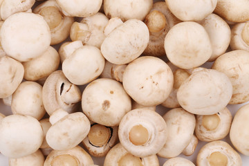 Closeup of fresh tasty champignon mushrooms.