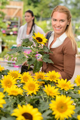Fototapeta premium Smiling customer woman shopping for potted sunflower
