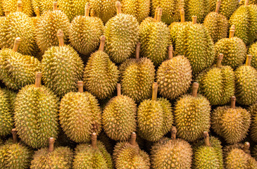 Durian fruit in the market